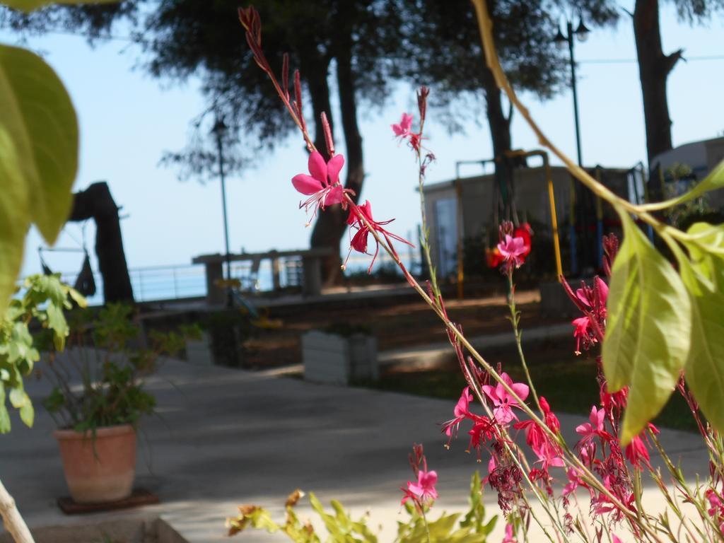 Brunello Seaside Apartments Lefkáda المظهر الخارجي الصورة
